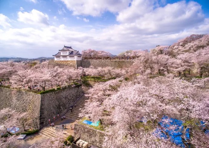 🏯 쓰야마 성(가쿠잔 공원) 이미지 5